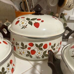 Strawberries and cream Sheffield large pot